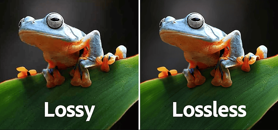 A Importância da Compressão de Imagens para o SEO em 2024