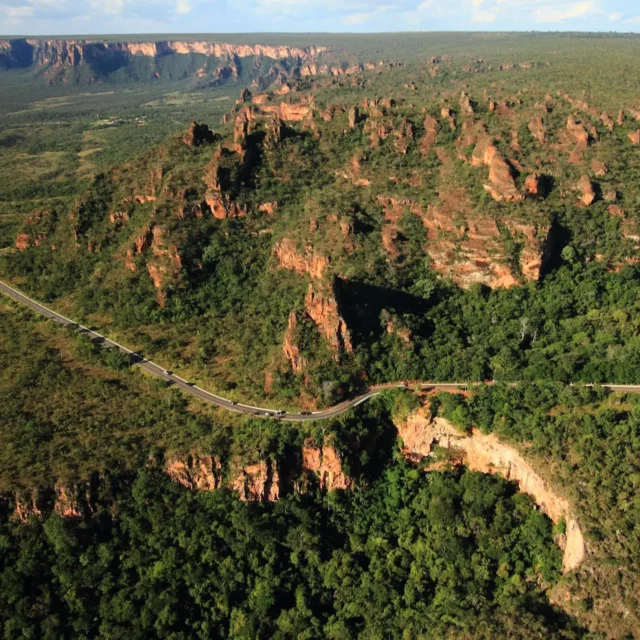 Descubra a fauna e flora com apps de educação ambiental para trilhas