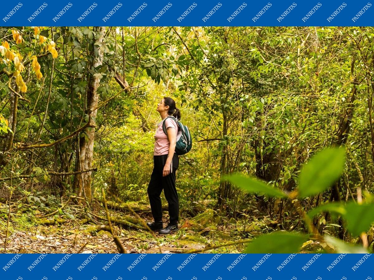 Áudio-guias inteligentes: A nova forma de explorar parques nacionais