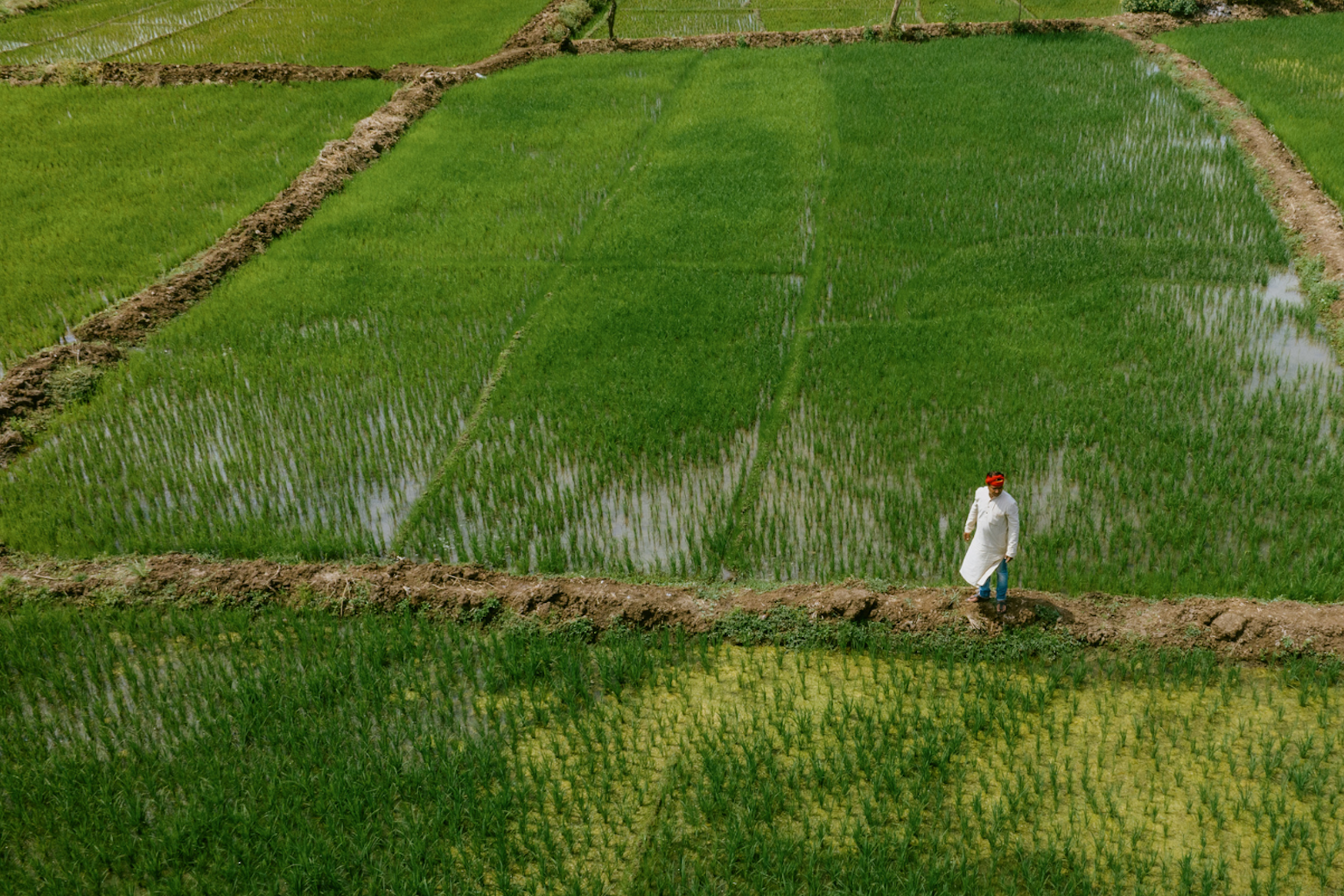 Guia Completo: Como Usar IA para Previsões Meteorológicas Precisas