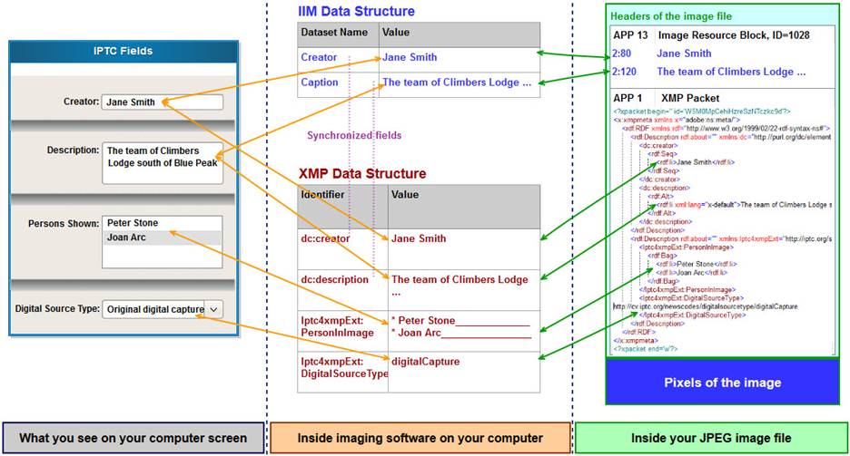 Guia Completo: Como Adicionar Metadados IPTC no Lightroom e Photoshop