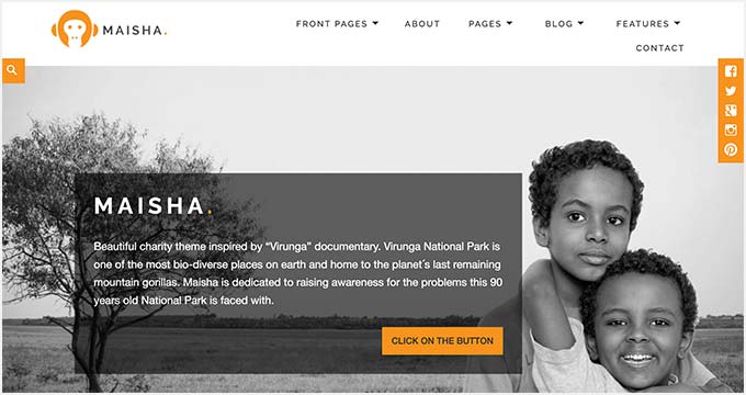 Recursos essenciais para o site da sua ONG: do botão de doação ao blog