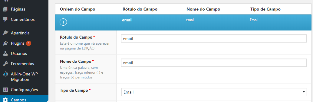 Exibindo Campos Personalizados no Front-end do WordPress: Guia para Desenvolvedores e Usuários