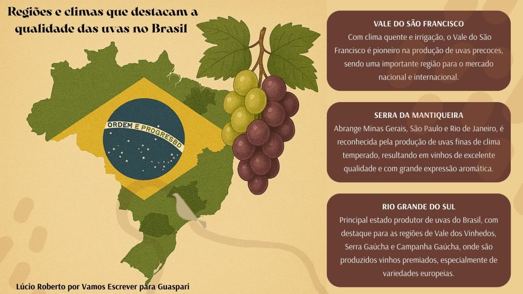 Otimização de nomes de uvas e regiões