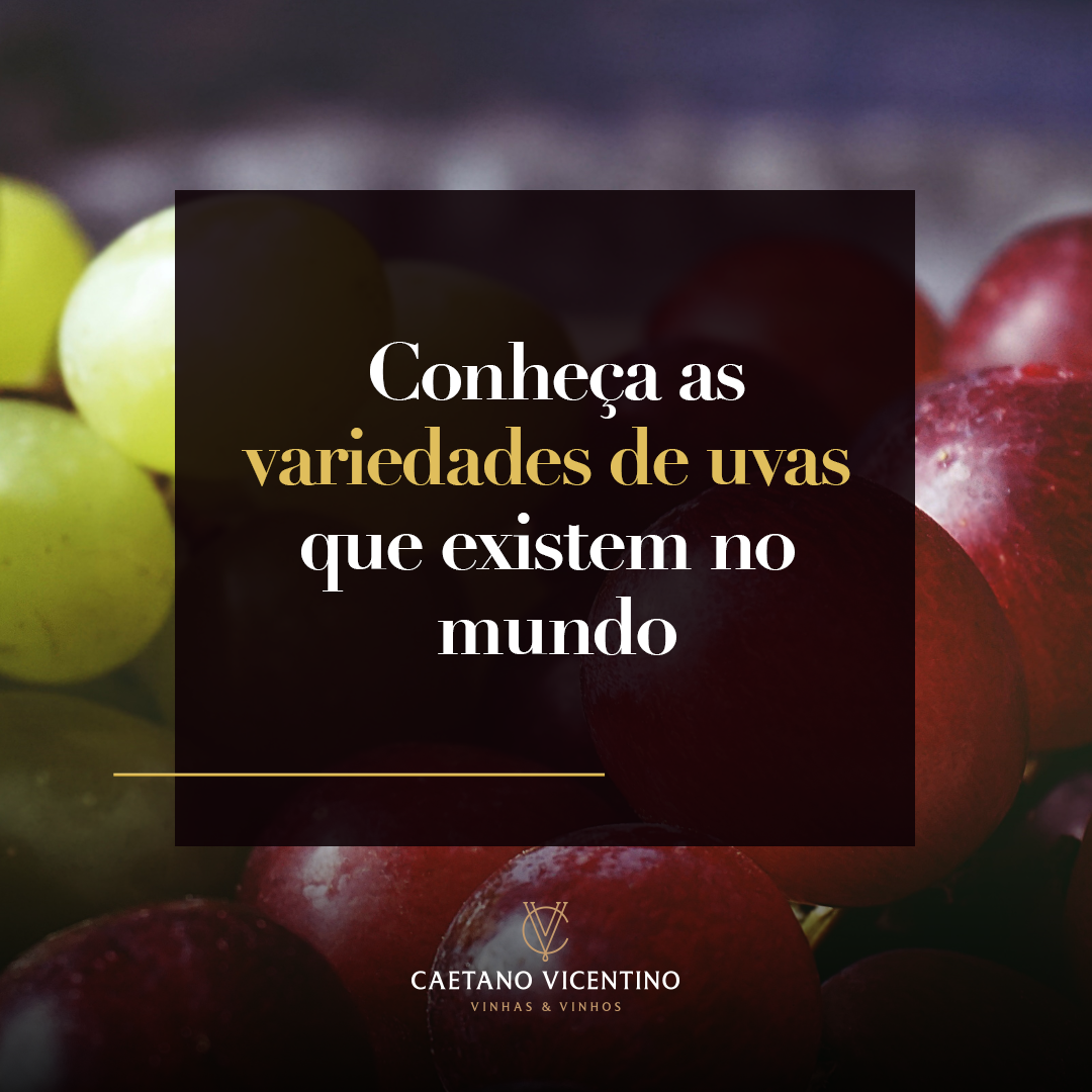 SEO para Vinícolas: Maximizando Vendas Online com Estratégias Digitais