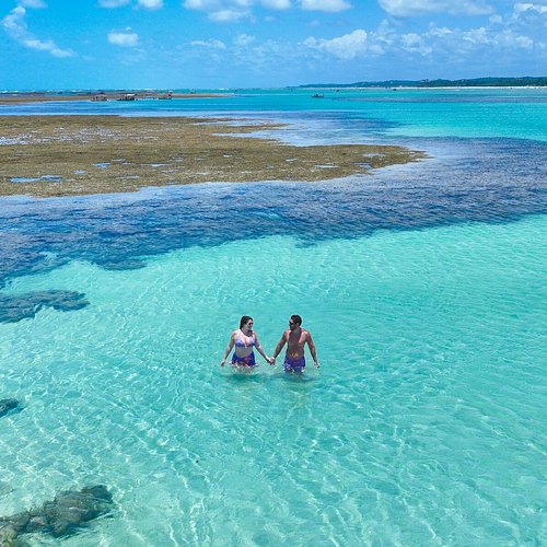 Guia completo de SEO para pequenos negócios em Maragogi