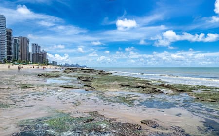 Como Escolher o Melhor Consultor de SEO para Seu Negócio em Jaboatão