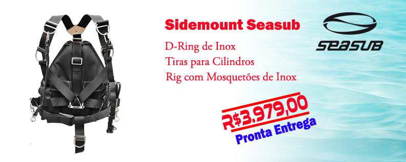 E-E-A-T e IA: Criando Conteúdo de Autoridade para sua Loja de Mergulho em um Cenário Pós-2026