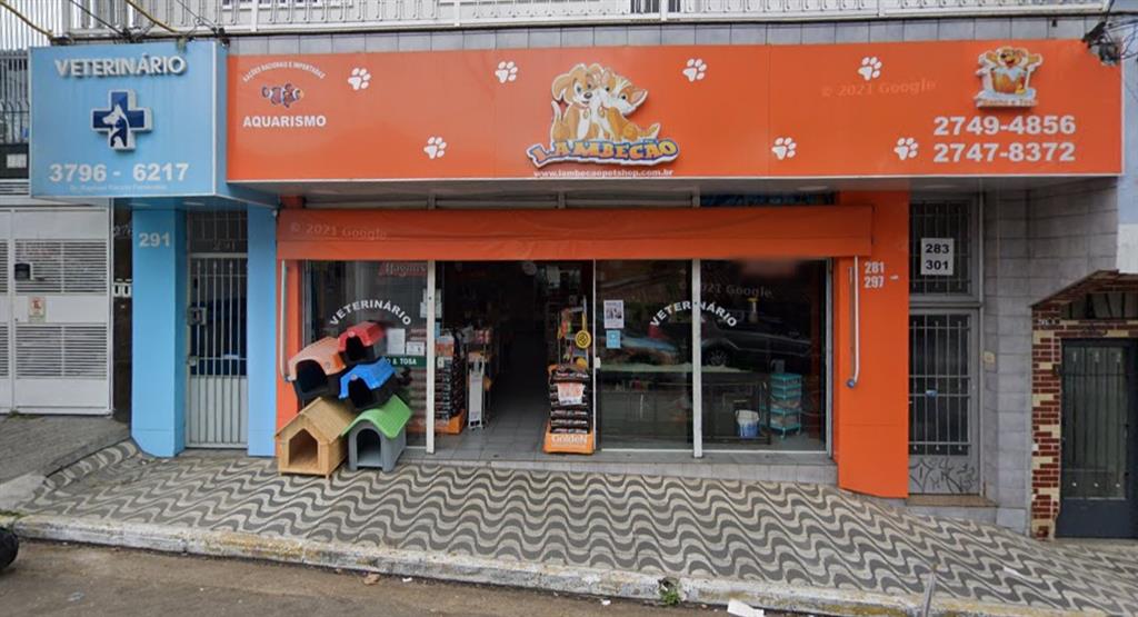 Criando Conteúdo Irresistível para o Blog do seu Pet Shop: Dicas e Ideias