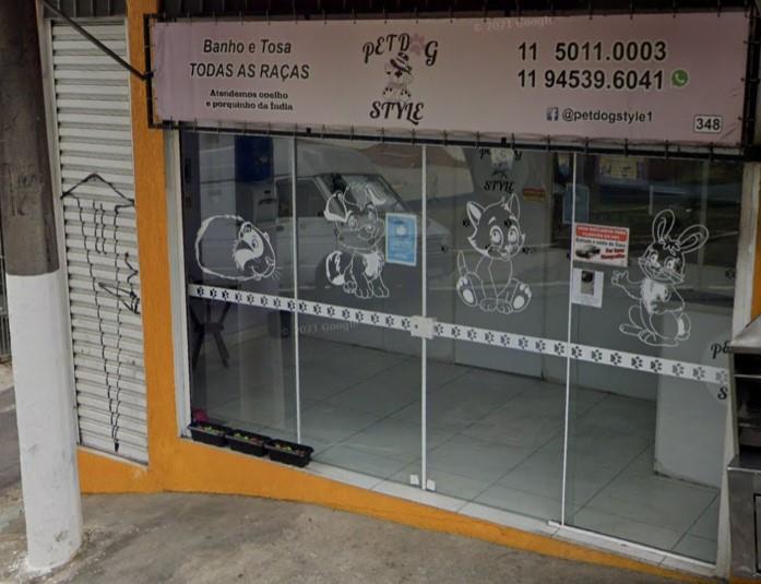 Instagram para Pet Shops: Estratégias Visuais para Engajar Tutores e seus Pets