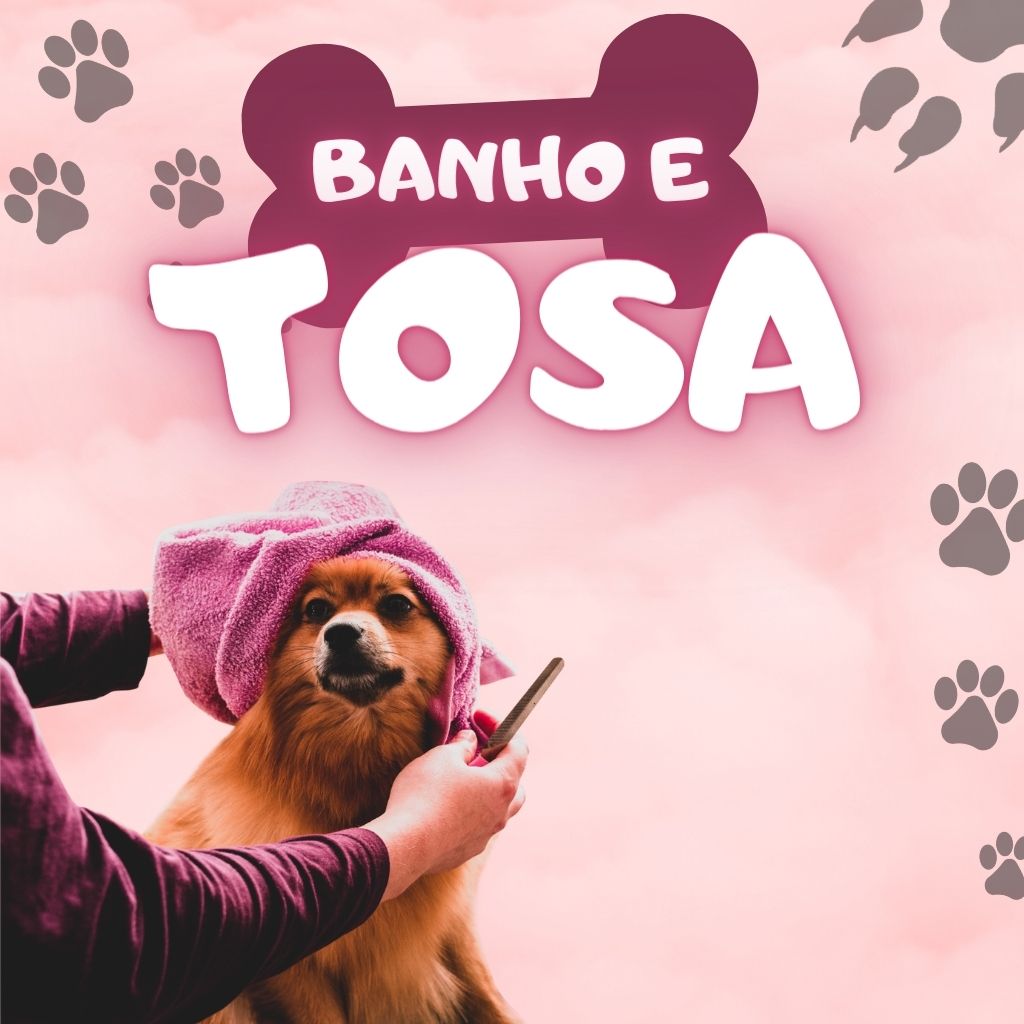 Criando Conteúdo Irresistível para o Blog do seu Pet Shop: Dicas e Ideias