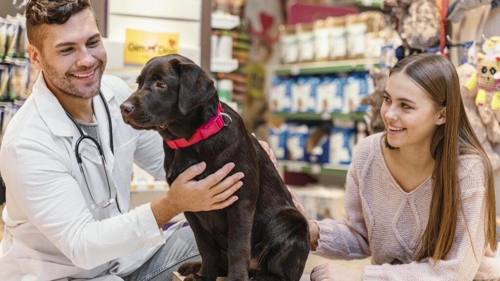 Palavras-Chave de Cauda Longa: O Segredo para Atrair Clientes de Pet Shop na Sua Região