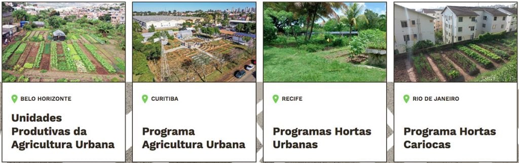 SEO para agricultura urbana em capitais