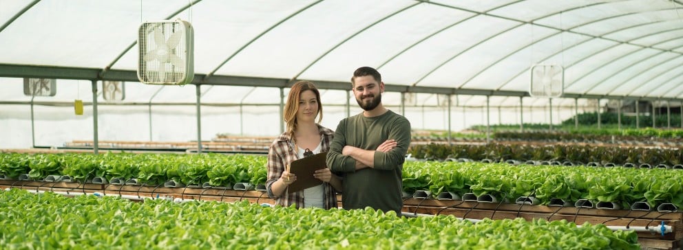 Guia Completo: Como Usar o Google Meu Negócio para Sua Horta Urbana