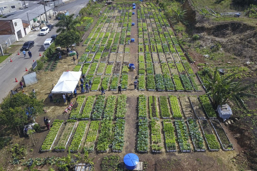 Agricultura Regenerativa: Tendências e Oportunidades de Conteúdo