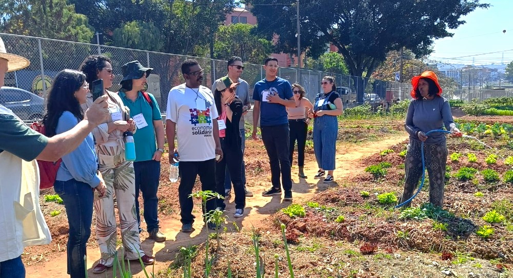 SEO para agricultura urbana em capitais