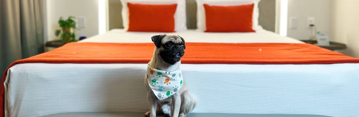 SEO Local para Hotéis Pet Friendly: Conquiste Hóspedes na Sua Região