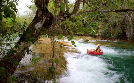 A Importância da Otimização Mobile para Empresas Rurais no Interior