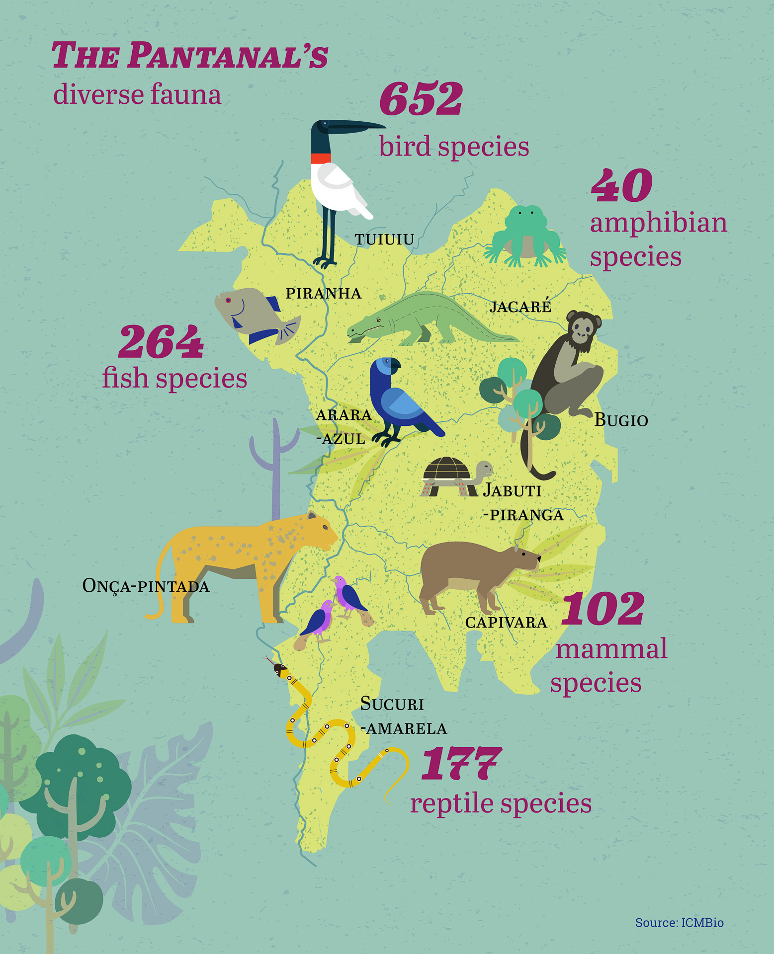 Safári Fotográfico no Pantanal: Dicas Essenciais para Observação de Onças