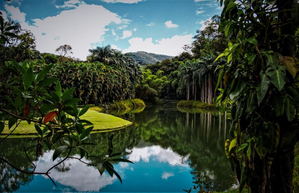 SEO Local para Turismo de Aventura: Maximizando sua Visibilidade em Minas Gerais